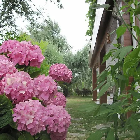 아파트호텔 Uysallar Koy Evi